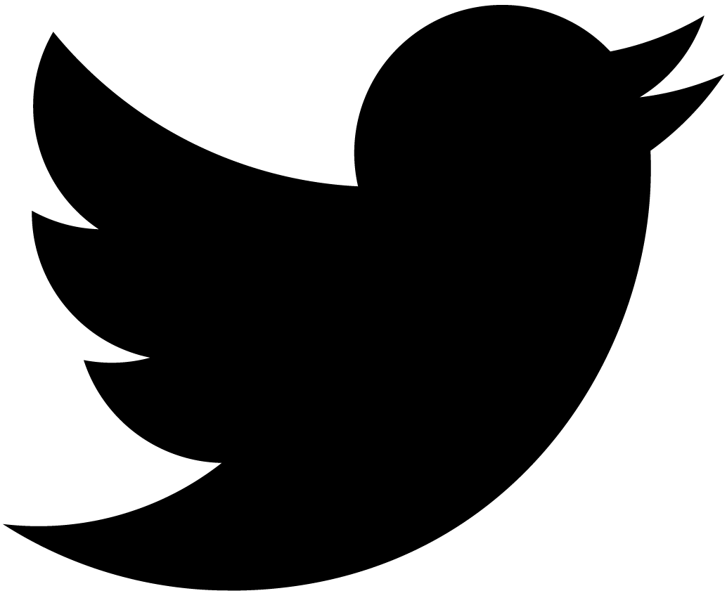 twitter social icon
